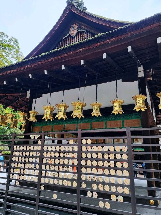 求靚必去，日本第一美麗神保𧙗你