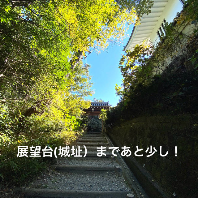 知多半島の城巡り　常滑市　大野城