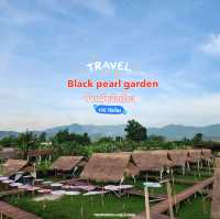 Black pearl garden ⛰️🏔