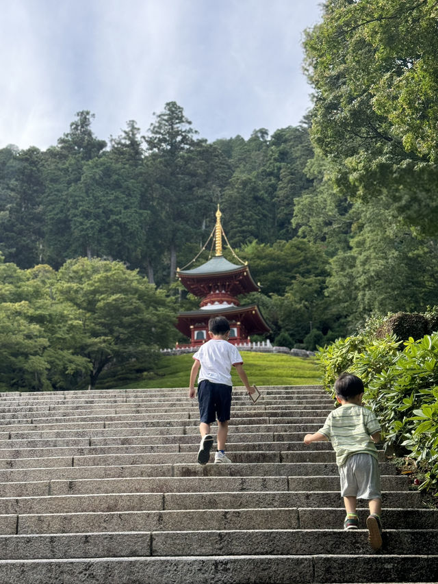 滿寺達摩來大阪必去 入寺必取免費紀念品！