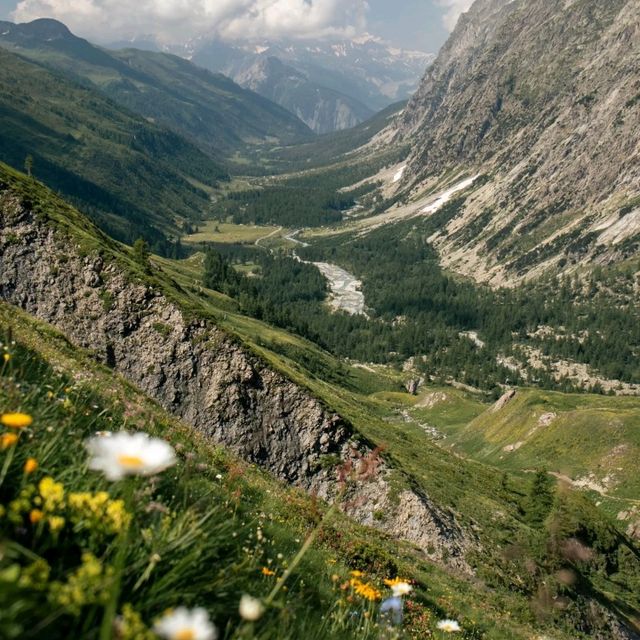 Mount Blanc