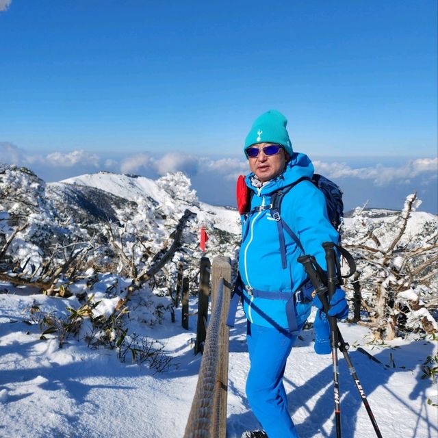제주 O일 여행 가이드