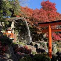 大阪近郊紅葉景點 - 勝尾寺🍁