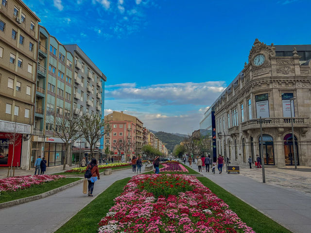 🇵🇹하이틴 재질인 포르투 북부도시 브라가Braga🇵🇹