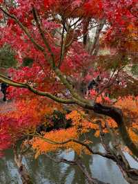 Must see garden in Suzhou 🍁
