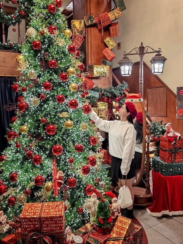 애인에게 사랑받는 크리스마스 데이트 장소 무궁화파이브✨️🎄
