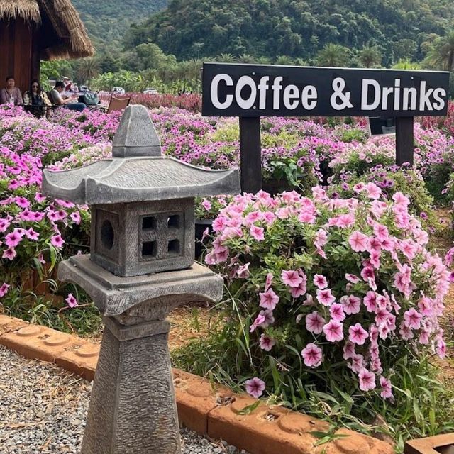 🇯🇵 Hokkaido Flower Park Khaoyai 🇯🇵