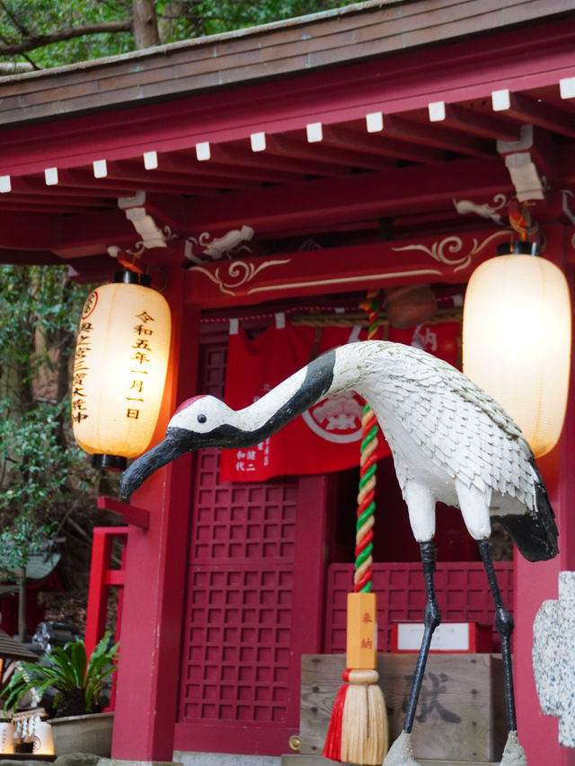 CMで話題となった光の道  3つの日本一がある神社