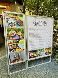 【日本伊東】來宮神社：日本能量景點，樹齡超過2000年的巨楠