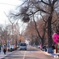 Harbin Ropeway 