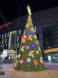 【韓国 釜山】2024光復路冬の光ツリー祭り🎄