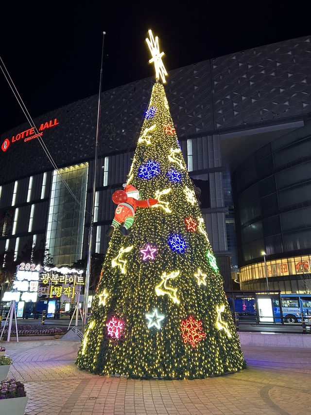 【韓国 釜山】2024光復路冬の光ツリー祭り🎄