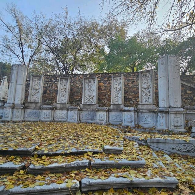 來趟圓明園的歷史與自然之旅