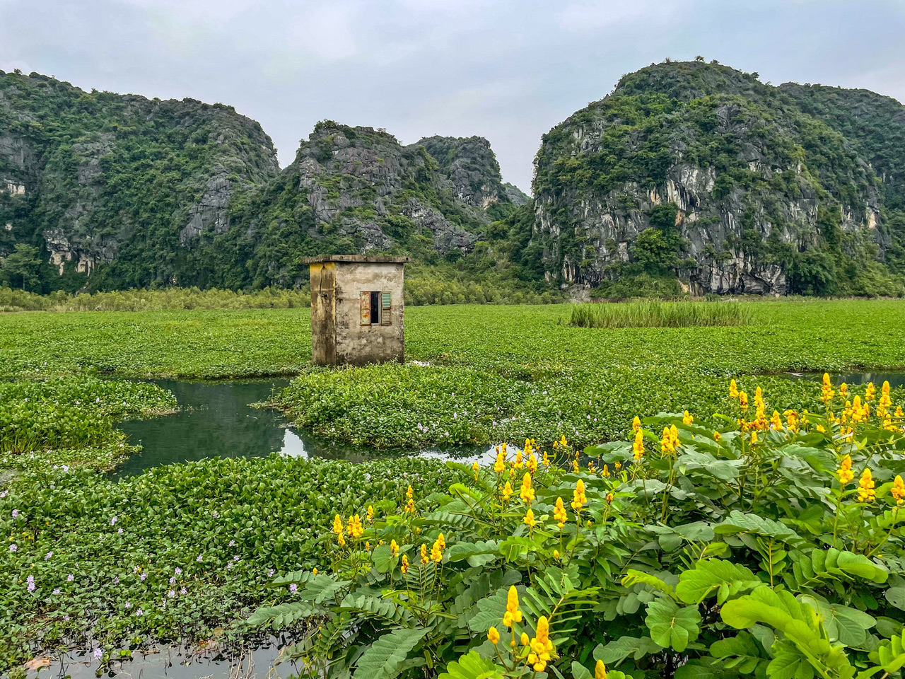 Khu bảo tồn đất ngập nước Bến Long...Ninh Bình