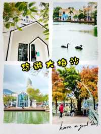 棲息在大梅沙的圖書館📚滋養心靈
