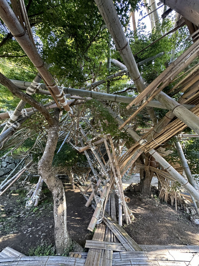 🇯🇵岡山｜遊岡山縣森林藝術祭