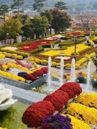 Winter Magic Awaits at Imsil Cheese Theme Park