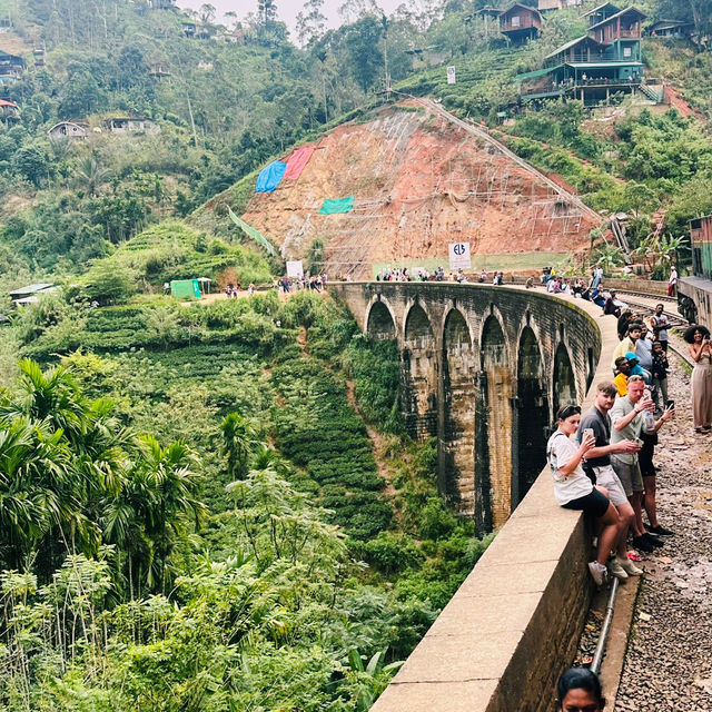 斯里蘭卡🇱🇰茶園火車