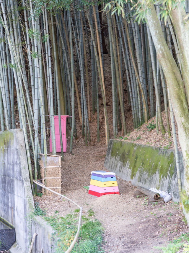 【岡山県/玉野市】まるで京都！？穴場の竹林