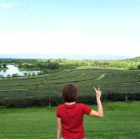 เที่ยวชิลๆ @ เชียงราย