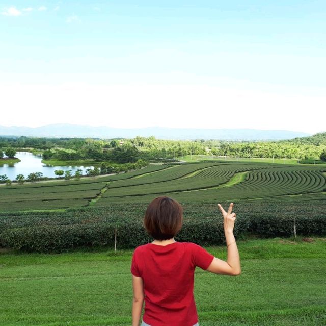เที่ยวชิลๆ @ เชียงราย