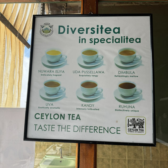 斯里蘭卡🇱🇰 - Lipton發源地