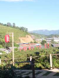 เที่ยวหมู่บ้านรักไทย ต้องมานอนไร่ชา ที่ไร่ชาเฉินฟง