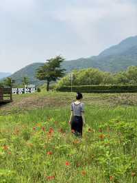 푸릇푸릇 한적한 남양주 핫플 물의정원