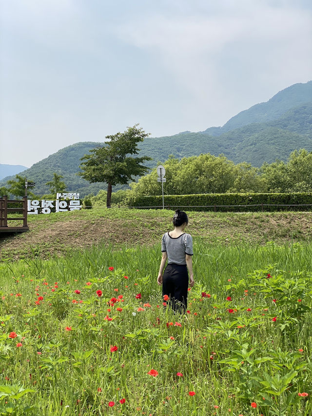 푸릇푸릇 한적한 남양주 핫플 물의정원