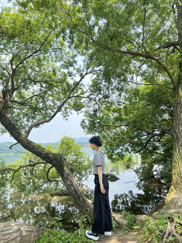 푸릇푸릇 한적한 남양주 핫플 물의정원