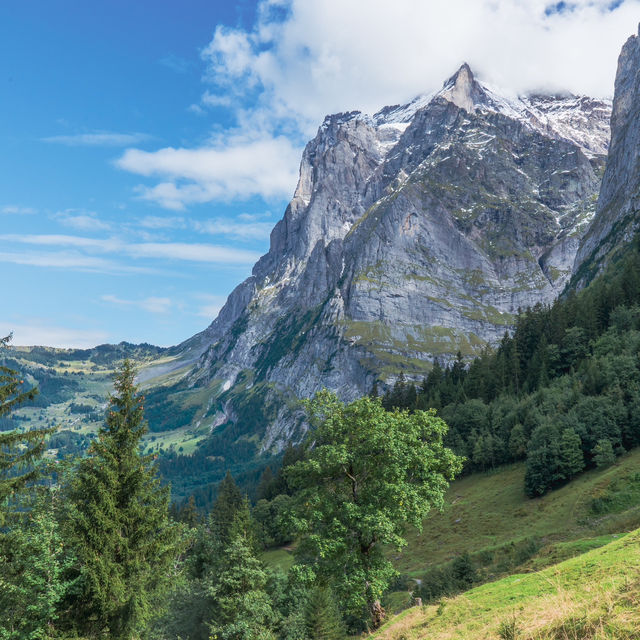 【スイス】グリンデルワルト🇨🇭山々に囲まれた街⛰️