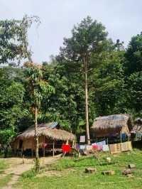 Exploring the Wild: My Adventure at Taman Negara National Park, Malaysia