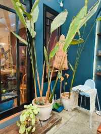Bon’s Yard: Where Celebrations Meet Comfort