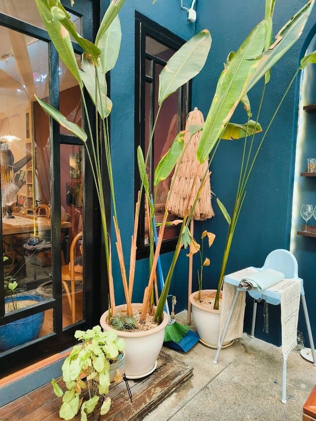 Bon’s Yard: Where Celebrations Meet Comfort