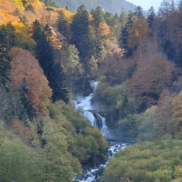 Pyrenees National Park