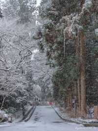 Sendai ในวันที่หิมะโปรยปราย~🌨️❄️🇯🇵