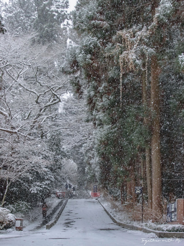 Sendai ในวันที่หิมะโปรยปราย~🌨️❄️🇯🇵