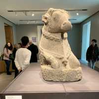【ロンドン】何度行っても飽きない人気博物館！🇬🇧