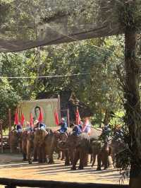 ศูนย์อนุรักษ์ช้างไทย ลำปาง