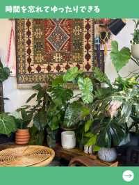 【マレーシア女一人旅】猫店員とゆったり過ごせる癒しの空間！植物溢れるカフェ！