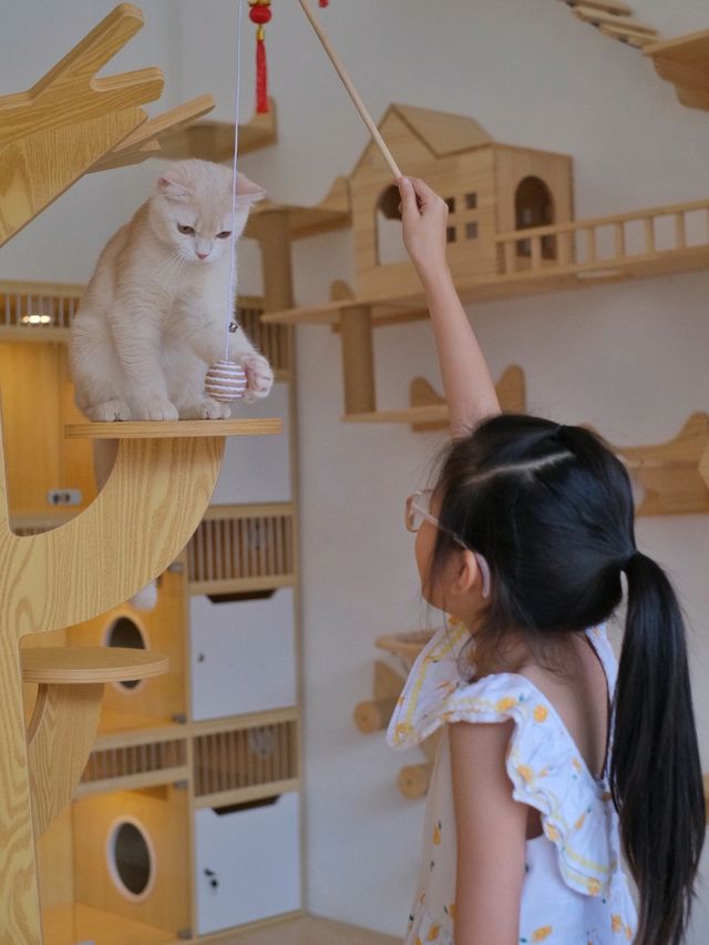 ถูกใจคนรักหมาแมว Zucca - The Pet Sanctuary & Cafe