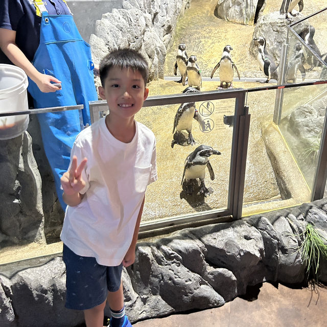 【 超夢幻非一般的海洋體驗 | DMM水族館 】