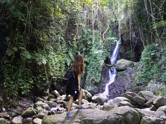 Ng Tung Chai Waterfall: Hong Kong’s Wildest Jungle Hike 