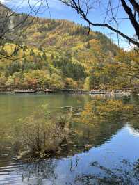 Lose yourself in the beauty of nature’s