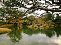 栗林公園-日本回遊式庭園代表，四國賞櫻好去處