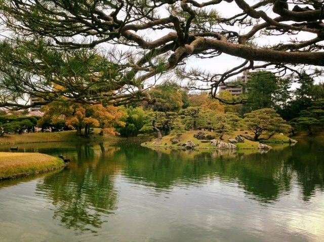 栗林公園-日本回遊式庭園代表，四國賞櫻好去處