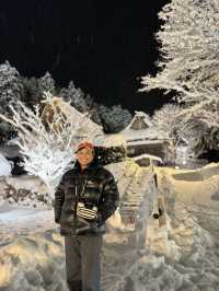 Hida folk village