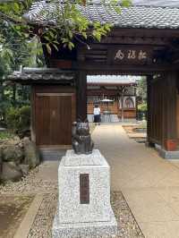 貓奴必去打卡點-豪德寺