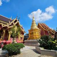 ทำบุญปีใหม่ที่วัดป่ายาง บ้านธิ ลำพูน