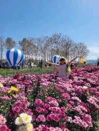 สวนวิลาวัณย์-วังน้ำเขียว Wilawan garden